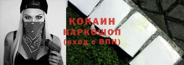 сатива Бронницы