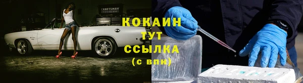 сатива Бронницы