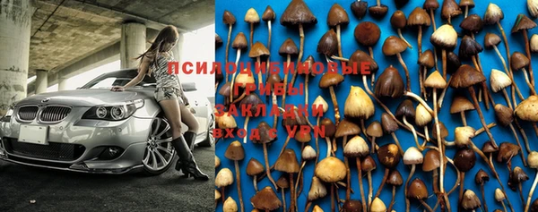 сатива Бронницы
