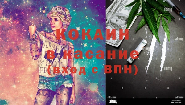 сатива Бронницы