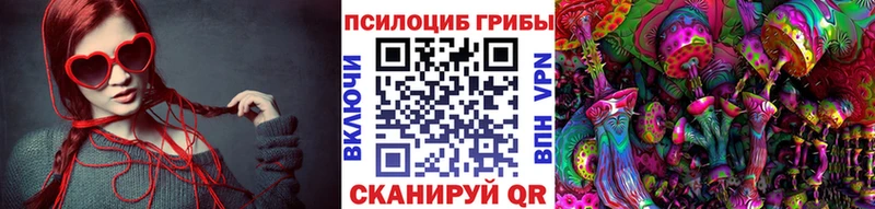 OMG ссылка  даркнет сайт  Северодвинск  Галлюциногенные грибы Psilocybe 